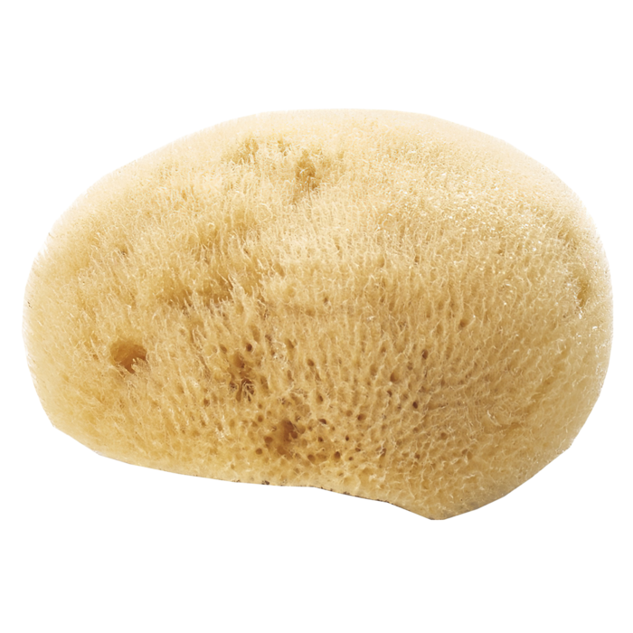 Avril Natural face Sponge