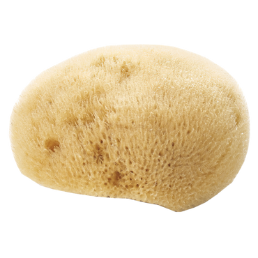 Avril Natural face Sponge