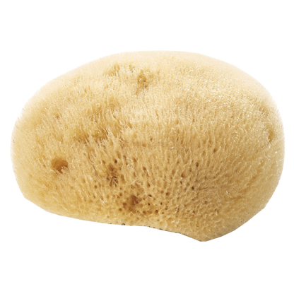 Avril Natural face Sponge
